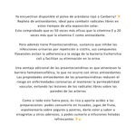Cranberry (arándanos) Polvo Prana 85grs