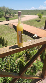 Licor Lemonchello La Anyta 500ml