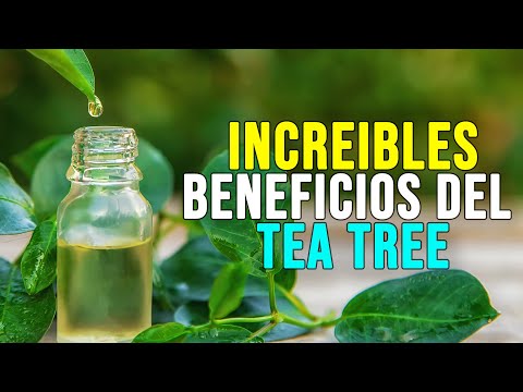 Aceite de Tea Tree Esencial Puro 10ml La Trinidad